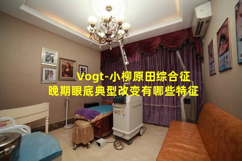 Vogt-小柳原田综合征晚期眼底典型改变有哪些特征